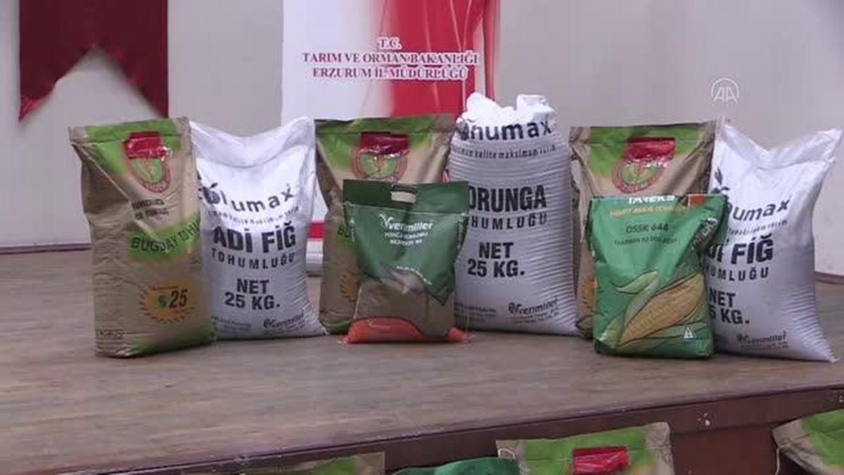 Tohum desteği verilen Erzurum\'da yaygın tarıma geçiliyor