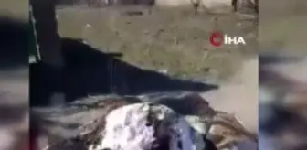 Ukraynalılar, Rusların yaptığı yardımları ateşe verdi