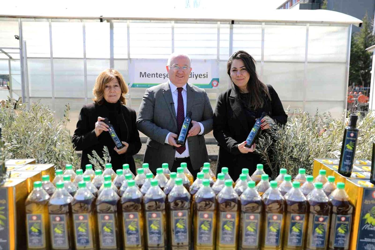 Zeytinyağları ihtiyaç sahiplerine dağıtılıyor