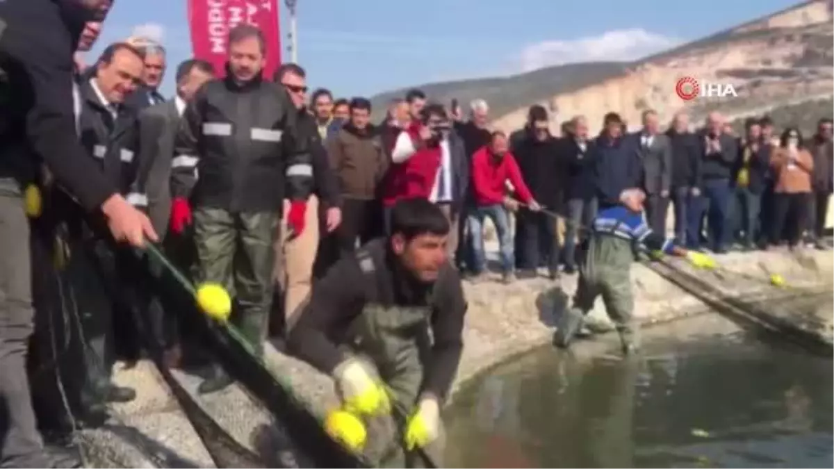 Balıkçılar ağı tarladan çekti...Tarım ve Orman Bakan Yardımcısı Özkaldı'nın katılımı ile 'Tarla Balıkçılığı hasat' töreni düzenlendi