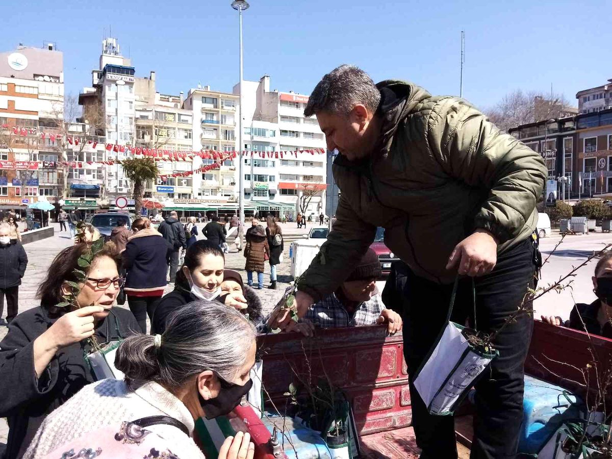 Bandırma\' da 3 bin adet fidan dağıtıldı