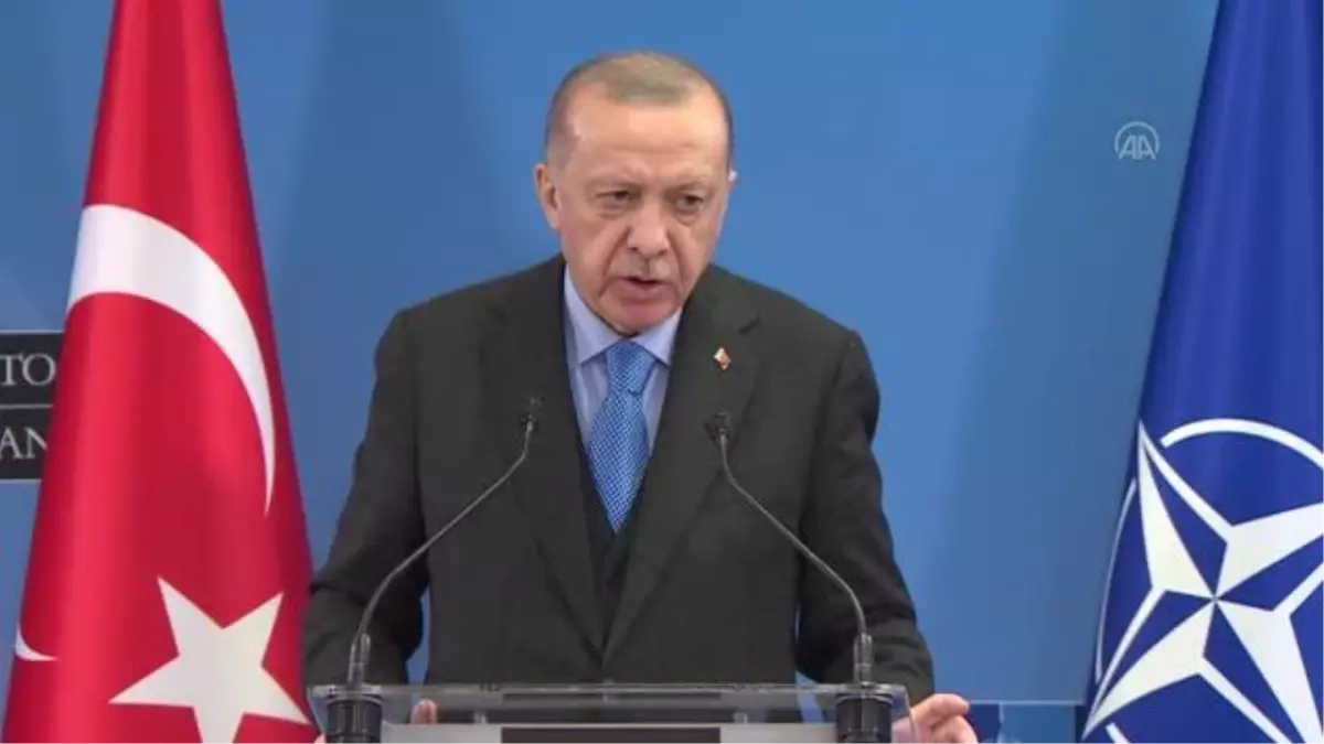 Cumhurbaşkanı Erdoğan, NATO Olağanüstü Devlet ve Hükümet Başkanları Zirvesi'ni değerlendirdi: (2)