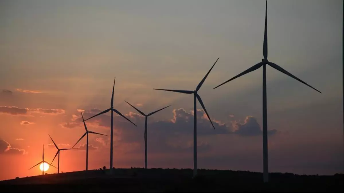 Doğal Hayata Zarar Vermeyen Enerji Politikaları Benimsenmeli"