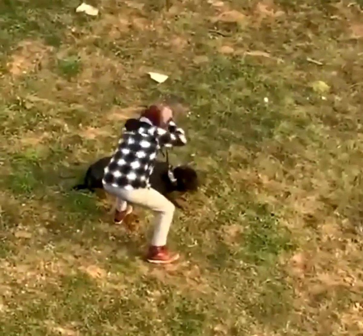 Düzce'de köpeğe şiddet uygulayan şahıs gözaltına alındı