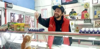 Kanadalı sosyal medya fenomeni, 'Yeşim Kedi' için Türkiye'ye geldi