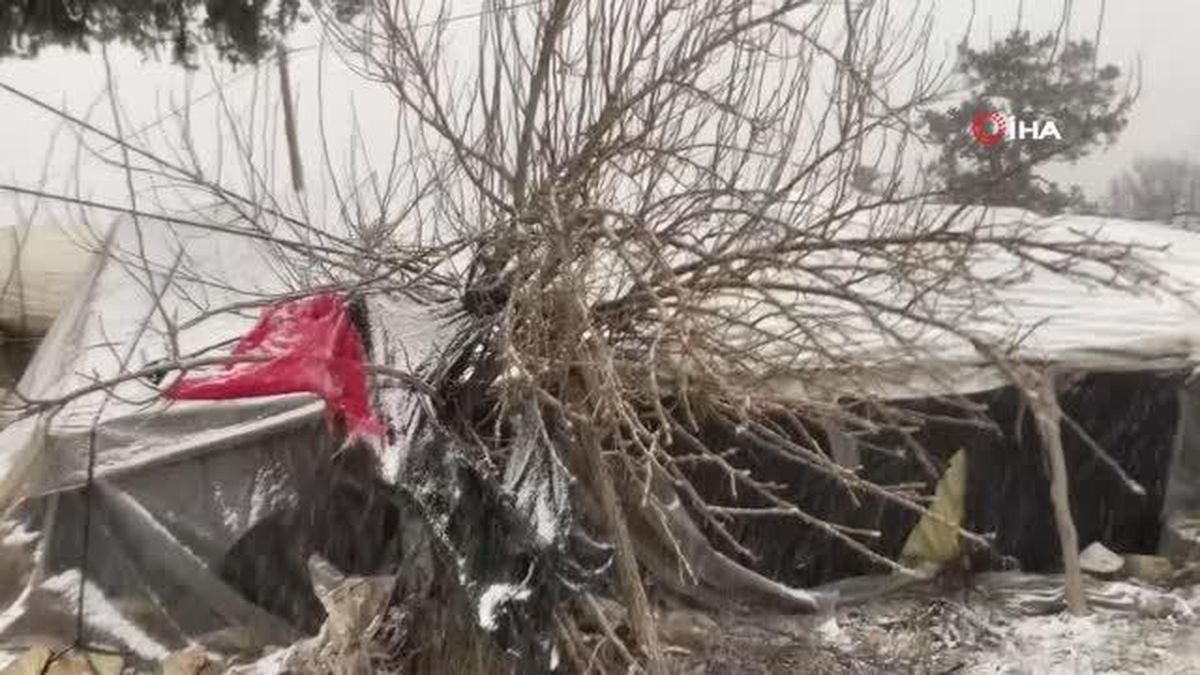 Mersin'de aniden bastıran kar yağışı doğayı beyaza bürüdü