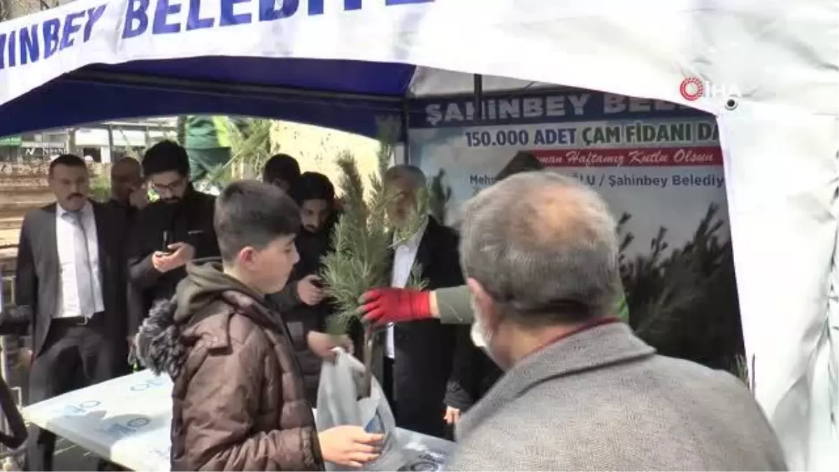 Şahinbey'de 150 bin çam fidanı dağıtıldı
