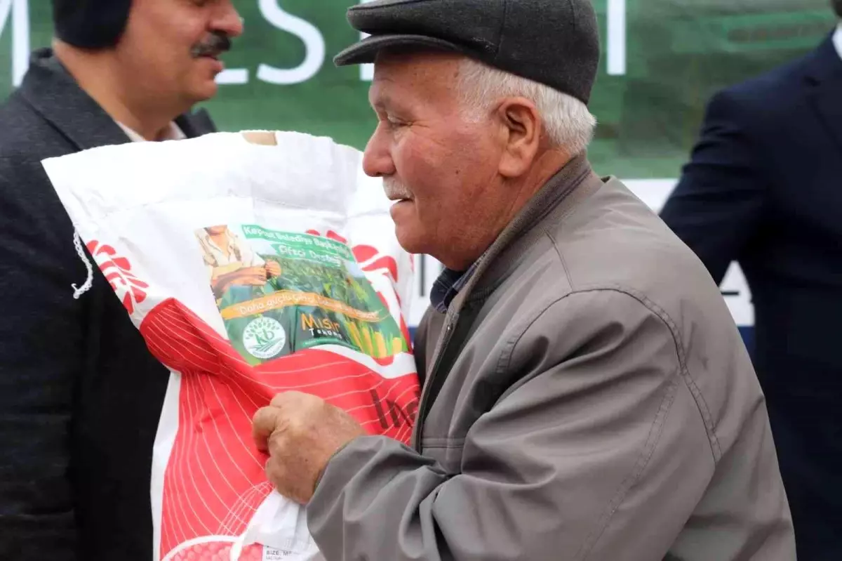 Tohumlar Kepsut Belediyesinden, hasat çiftçiden