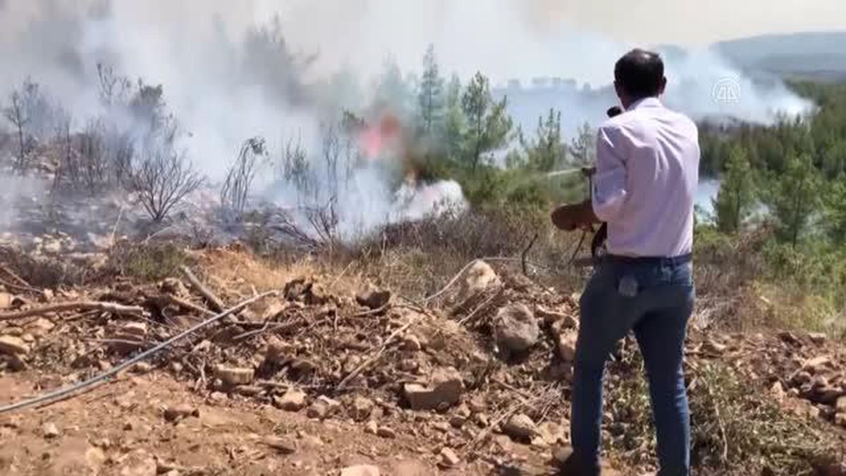 2022'de 2 milyon 94 bin adet fidan dikilecek