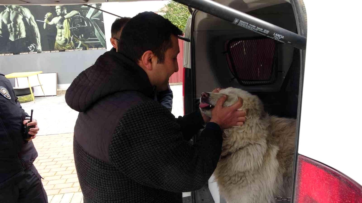Çalınan köpeğine 2 hafta sonra kavuştu