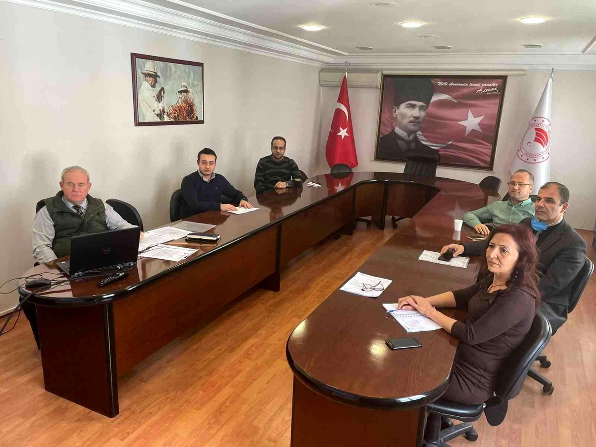 Doğa mantarı ihracat toplantısı yapıldı