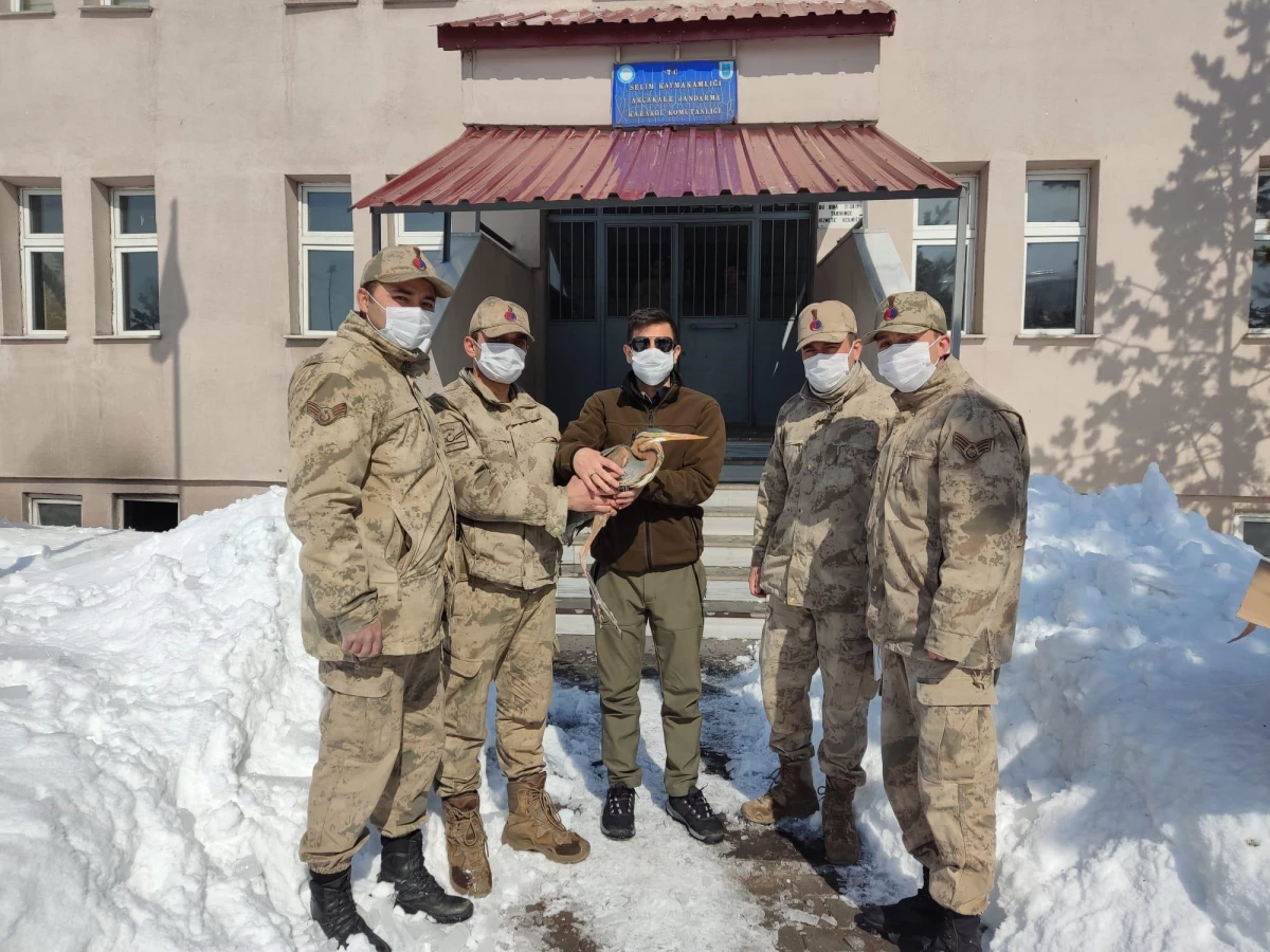 Kars\'ta jandarmanın yaralı bulduğu erguvani balıkçıl tedaviye alındı