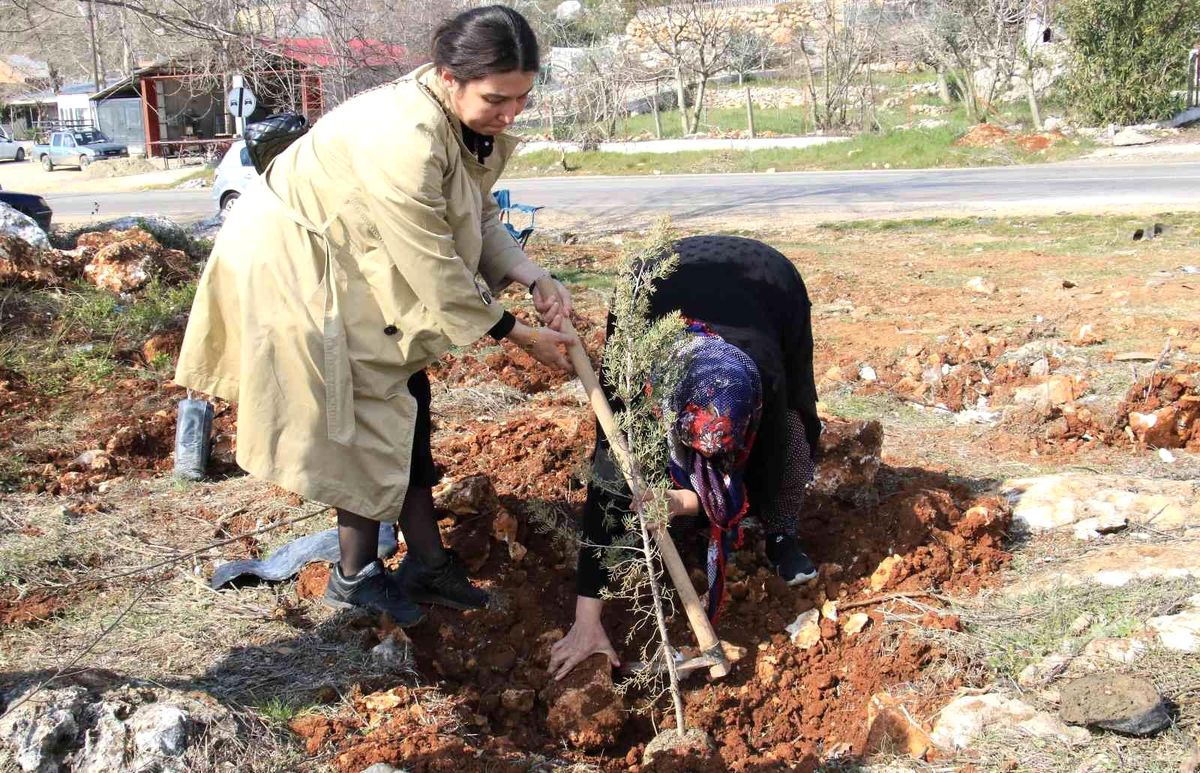 Şehitler adına iki orman kuruldu, ilk fidanları aileleri dikti