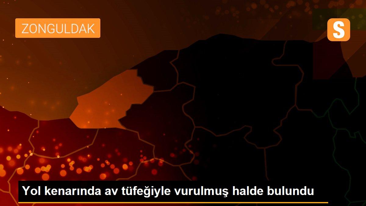 Yol kenarında av tüfeğiyle vurulmuş halde bulundu