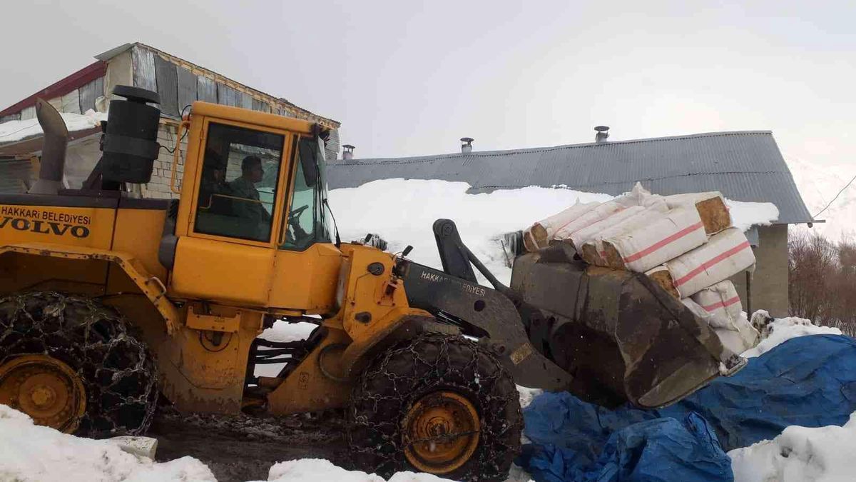 Belediye ekipleri aç kalan hayvanlar için seferber oldu