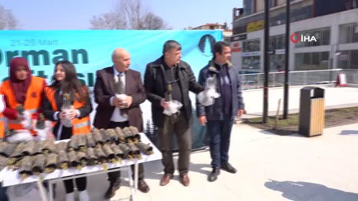 Bilecik'te ücretsiz bin çam fidanı dağıtımı yapıldı