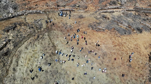 Denizli'den gelen minikler Marmaris'te yanan ormanlık alana fidan dikti