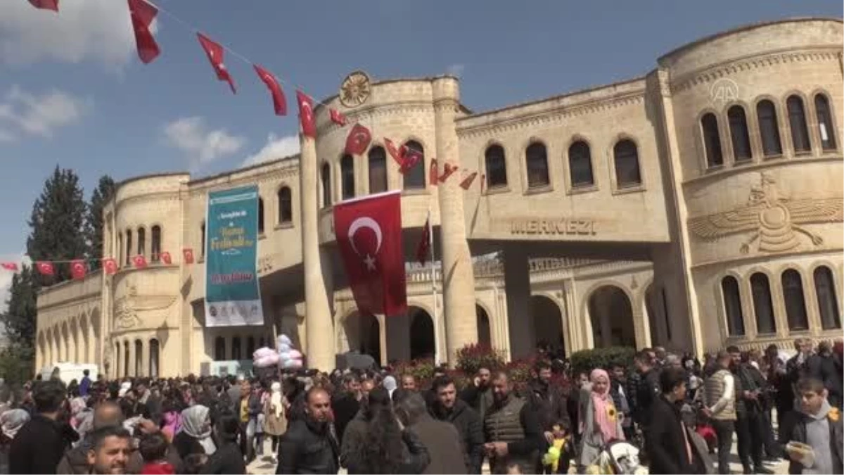 "Hamsi Festivali"nde 6 bini aşkın kişiye 1,5 ton balık ikramı