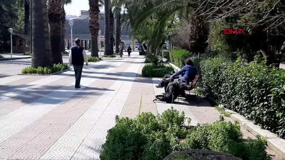 İZMİR'DE KÜLTÜRPARK'TAKİ KURUYAN 72 PALMİYE AĞACI KESİLDİ