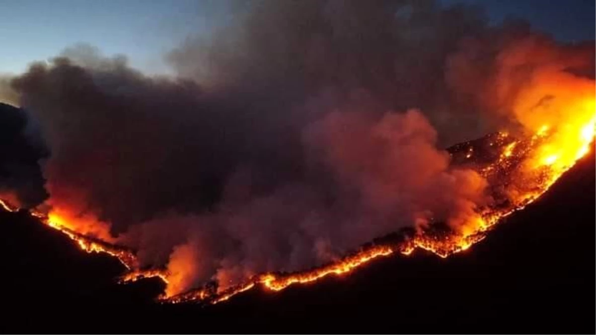 Son dakika! Meksika\'da 33 ayrı noktada aktif orman yangını bildirildi