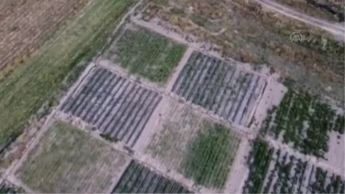 "Yağmur suyu hasadı" ile nohut üretiminde verim yüzde 94 arttı