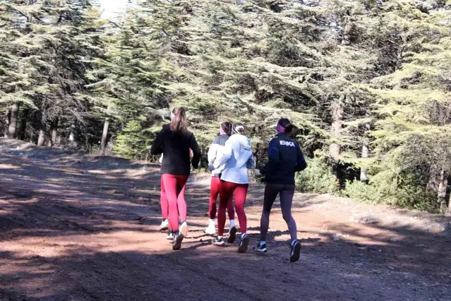 Altın kızların hedefi Türk bayrağını Avrupa'da dalgalandırmak