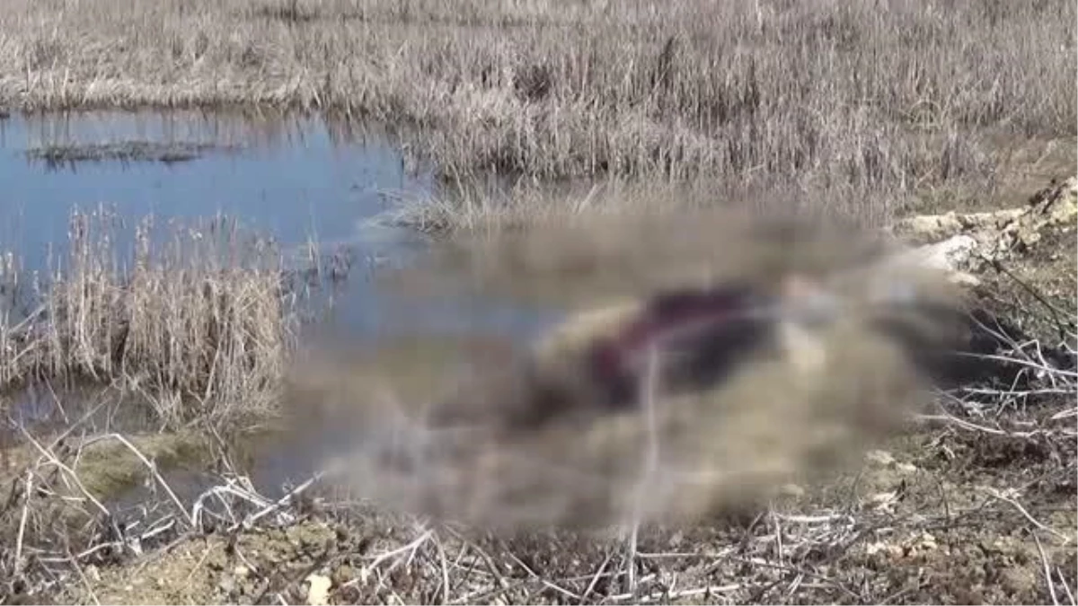Beyşehir Gölü kıyısında erkek cesedi bulundu