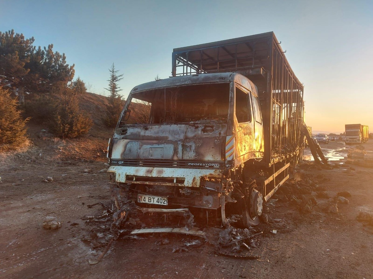 Bolu\'da kamyonda çıkan yangında yüzlerce tavuk telef oldu