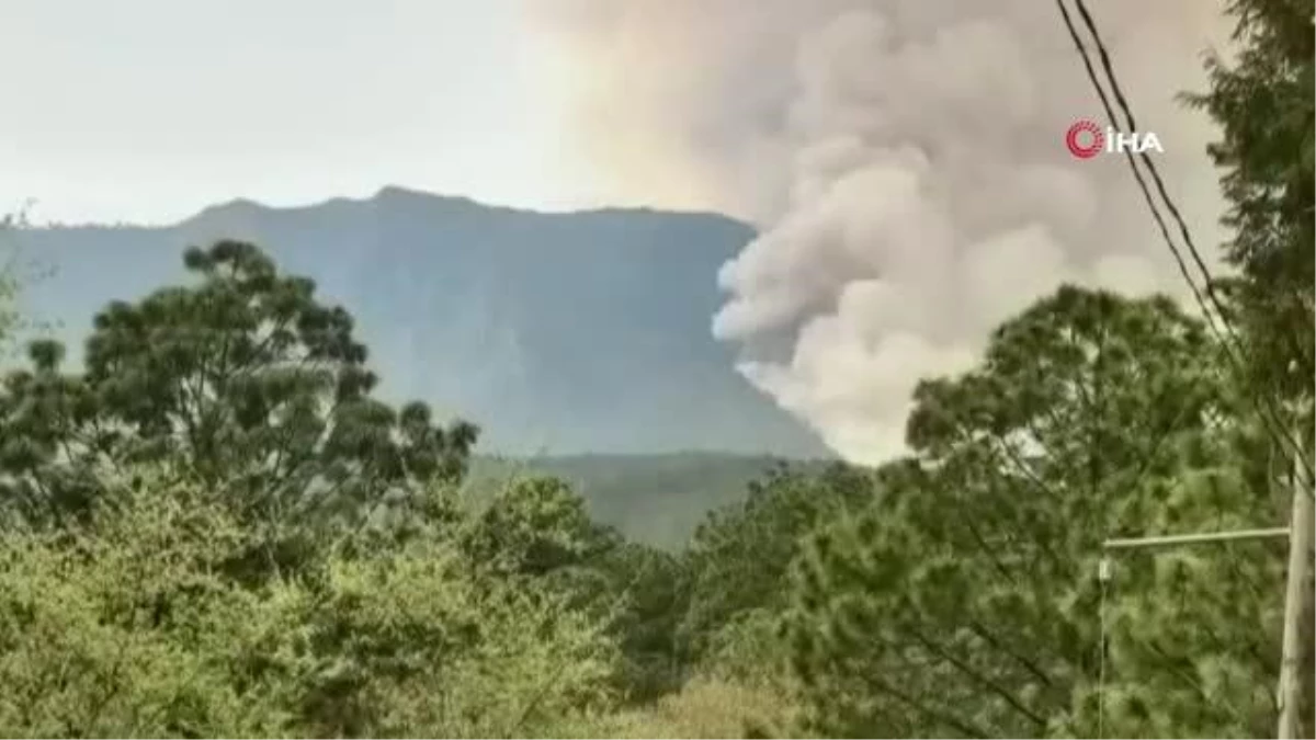 Meksika\'da son 24 saatte 39 orman yangınıYangınlarda 415 hektar alan küle döndü