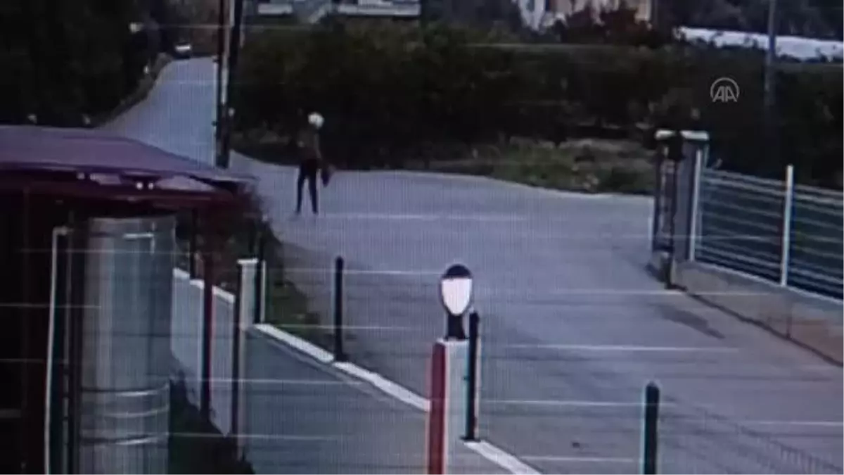 Son dakika haberleri | Sahipsiz köpeklerin genç kıza saldırı anı güvenlik kamerasında