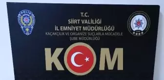 Siirt'te Picasso imzalı tablo ele geçirildi, Batman'da incelenecek