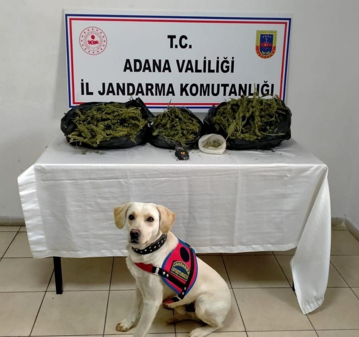 Adana\'da uyuşturucu operasyonu: 1 gözaltı