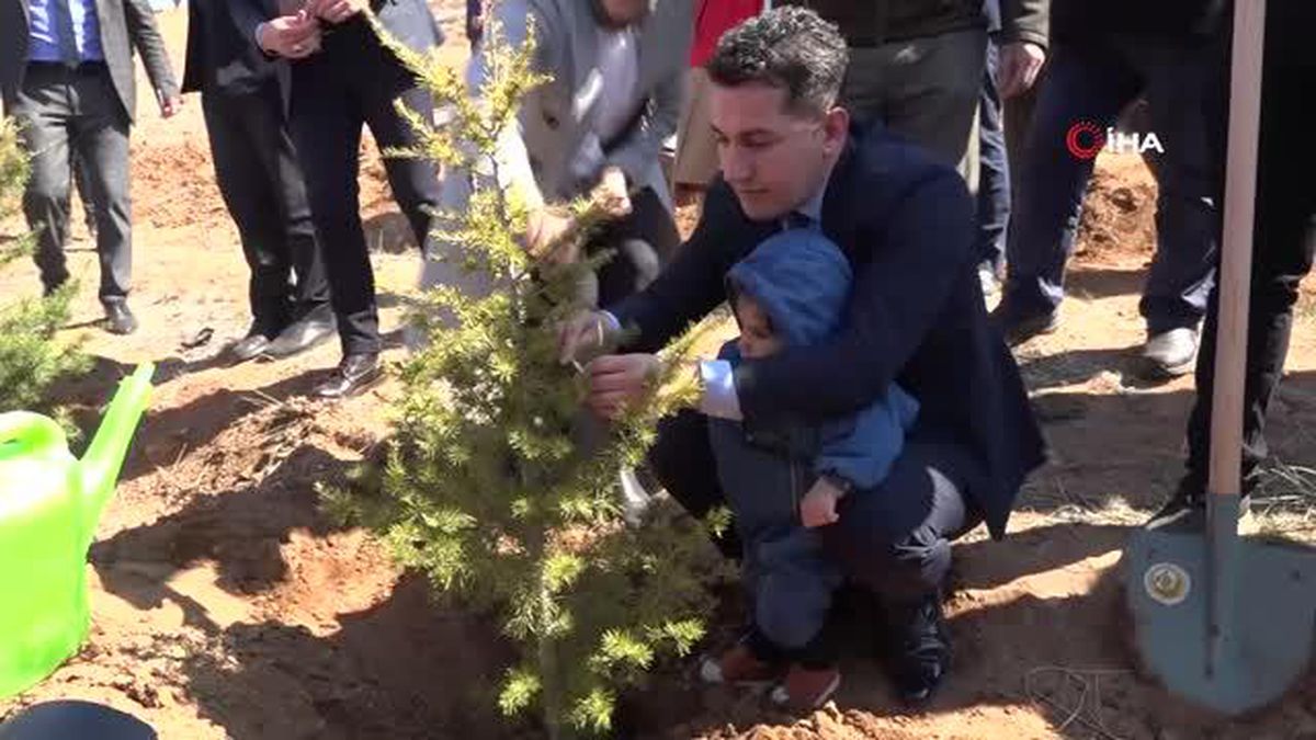 Aksaray'da şehit ve gaziler için fidan dikildi