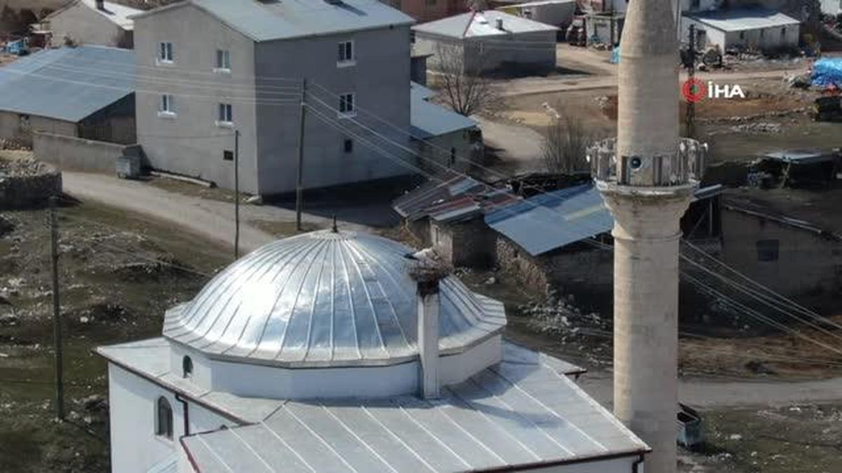 Asırlık misafirler yine geldi, bir aile caminin diğeri kilisenin çatısına kondu