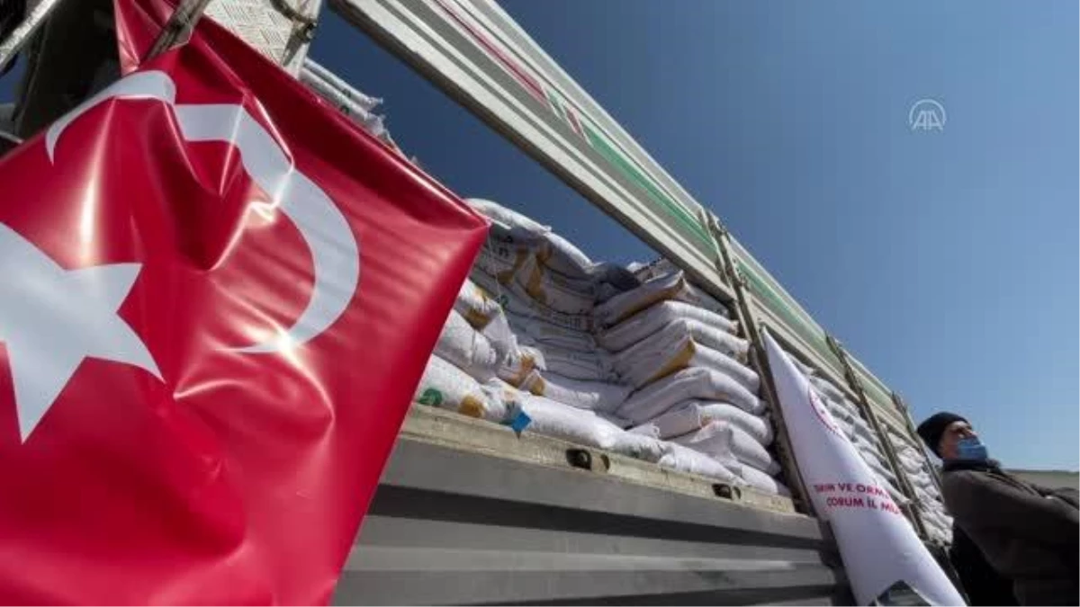 Çiftçilere 170 ton nohut tohumu dağıtıldı