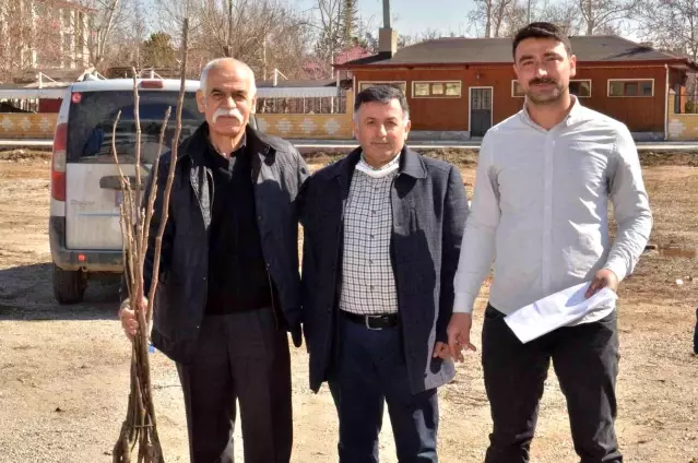 Elbistan'da üreticilere 6 bin 300 adet ceviz fidanı dağıtıldı
