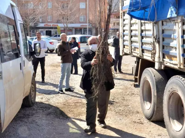 Elbistan'da üreticilere 6 bin 300 adet ceviz fidanı dağıtıldı