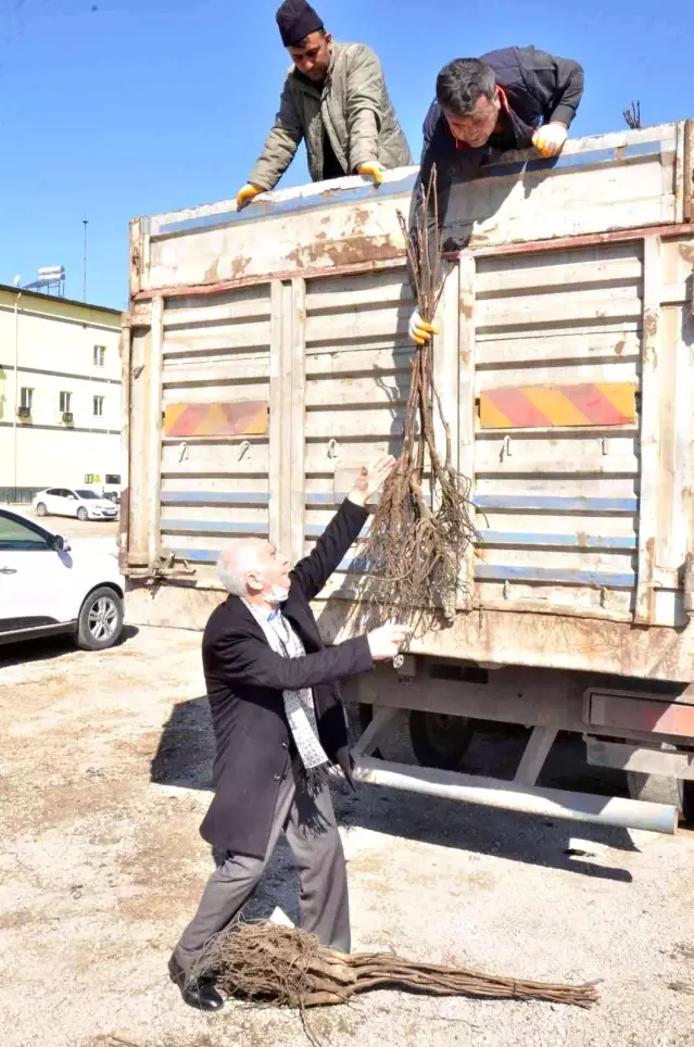 Elbistan'da üreticilere 6 bin 300 adet ceviz fidanı dağıtıldı