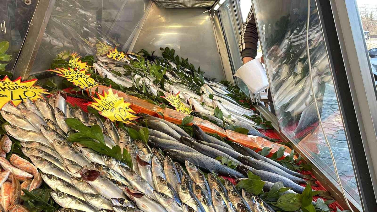 Karadeniz\'deki avcılık yasağının fiyatlara yansıması bekleniyor