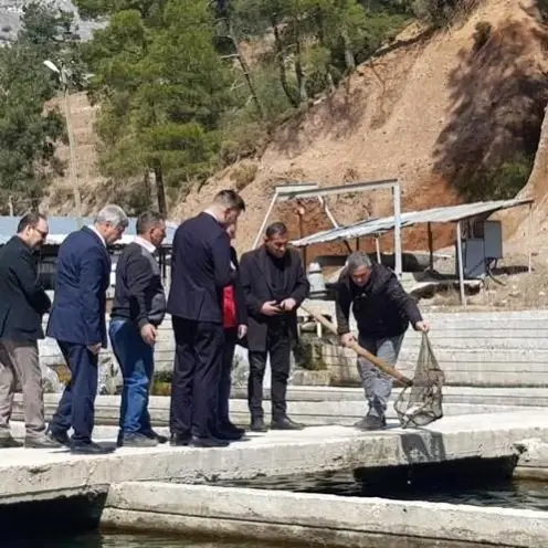 Köyceğiz'de alabalık ve çilek üretim alanlarında incelemelerde bulunuldu