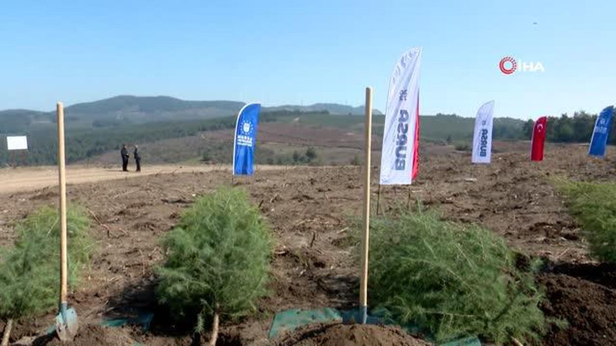 Kültür başkenti fidanları toprakla buluştu