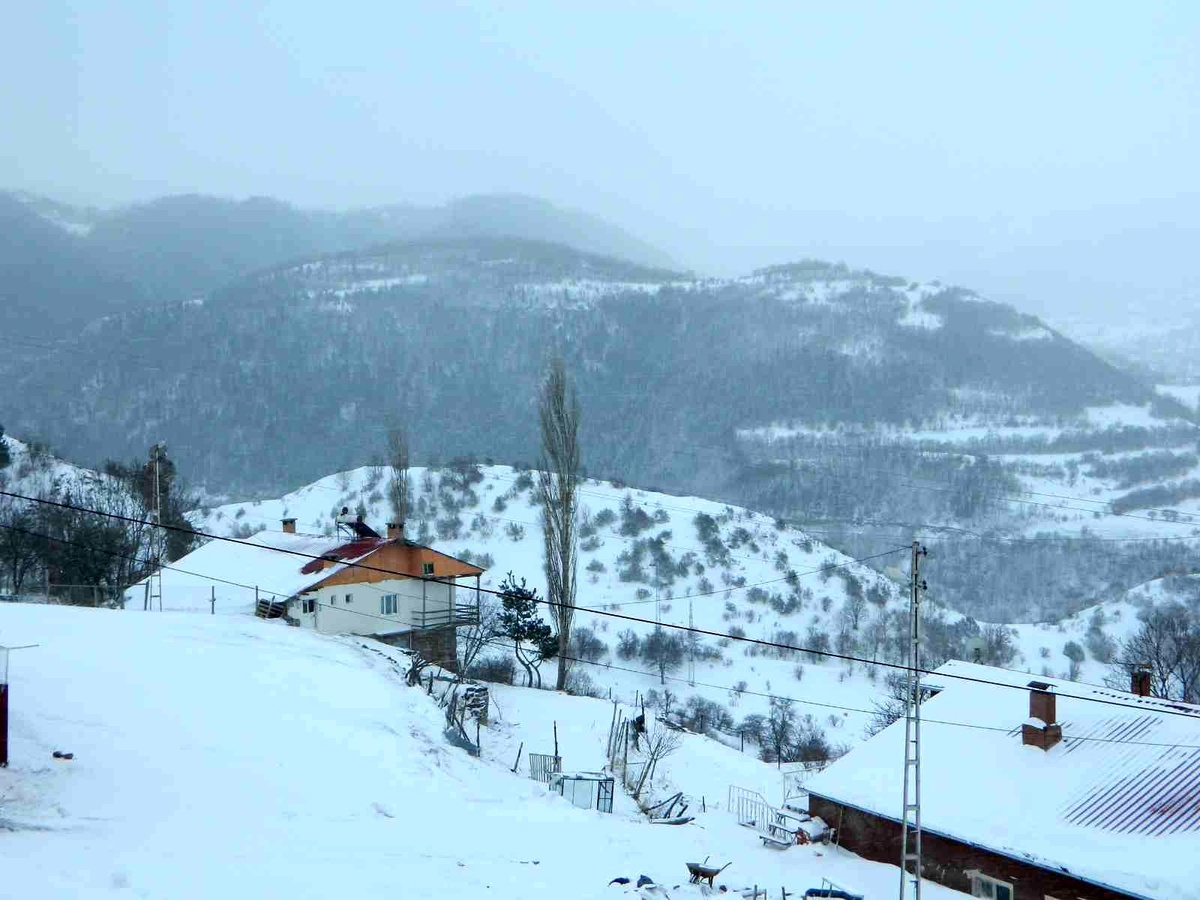 Posof\'ta kar ve tipi okulları kapattı
