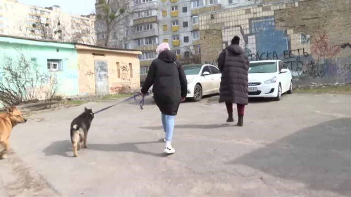 Rus saldırılarında evi yıkılan genç kadın, sahipsiz hayvanlara umut oldu