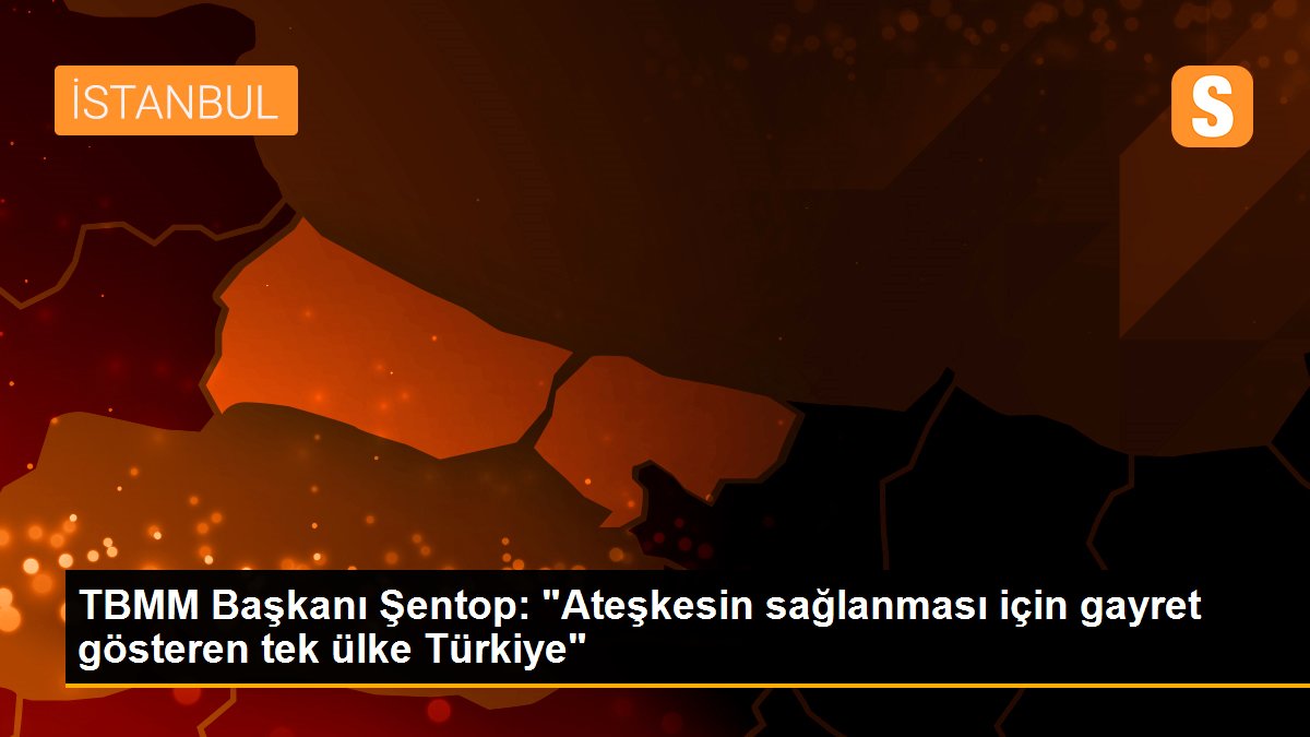 TBMM Başkanı Şentop: "Ateşkesin sağlanması için gayret gösteren tek ülke Türkiye"