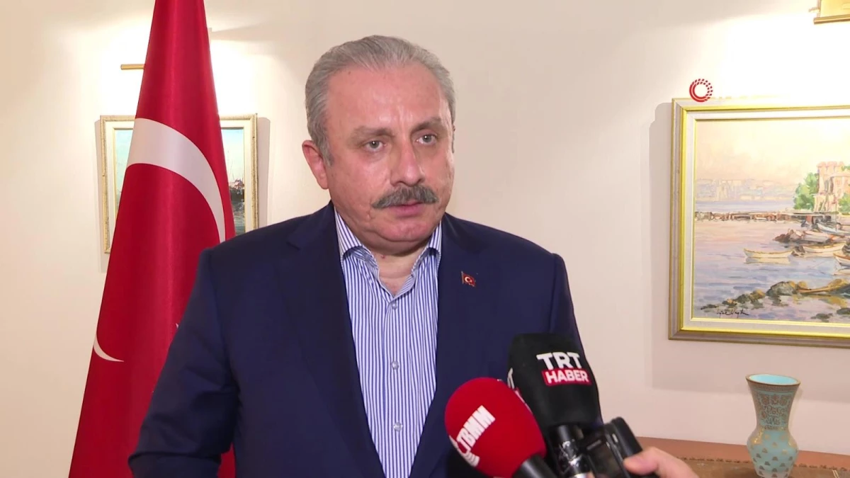 Son dakika: TBMM Başkanı Şentop: "Ateşkesin sağlanması için gayret gösteren tek ülke Türkiye"