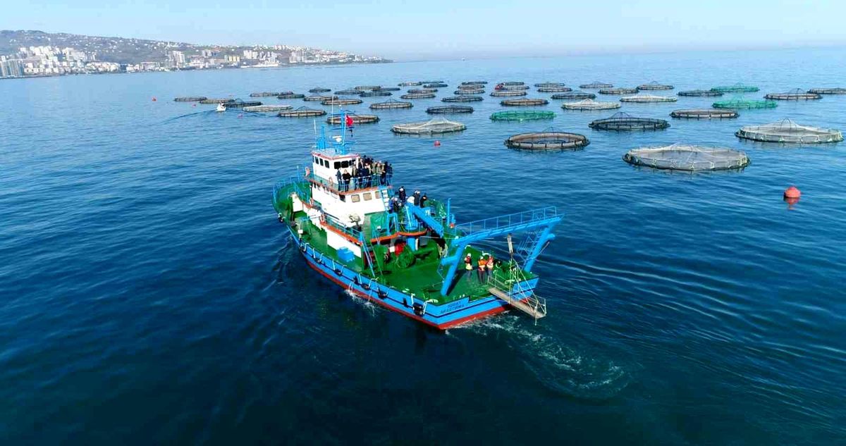 Trabzon\'da su ürünleri üreticileri Japonya ile serbest ticaret anlaşması yapılmasını istiyor