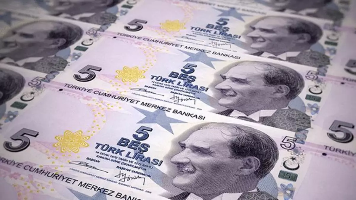 Merkez Bankası yeni 5 TL\'leri tedavüle sürdü! Sadece bir fark var