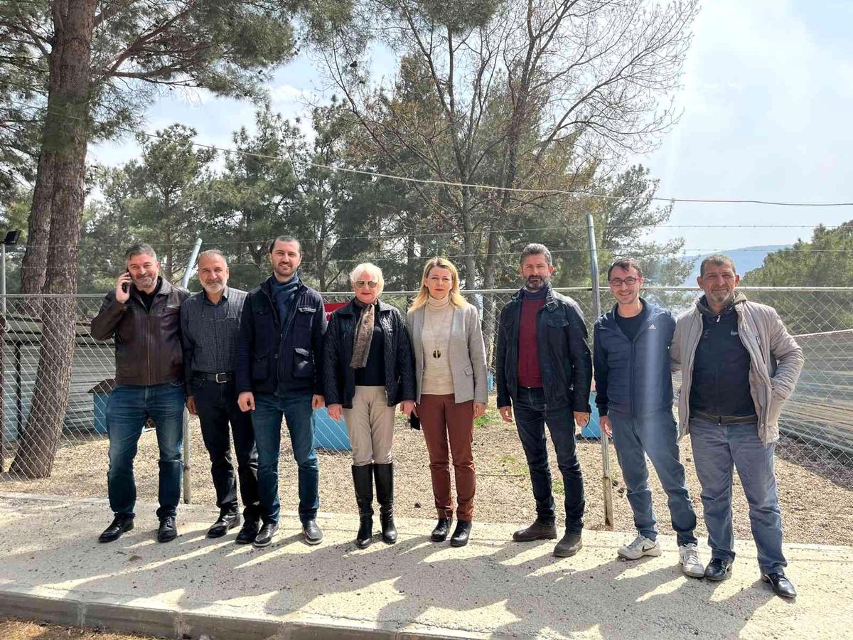AK Parti heyeti sahipsiz köpeklerin birbirlerini parçaladığı iddia edilen hayvan barınağında inceleme yaptı