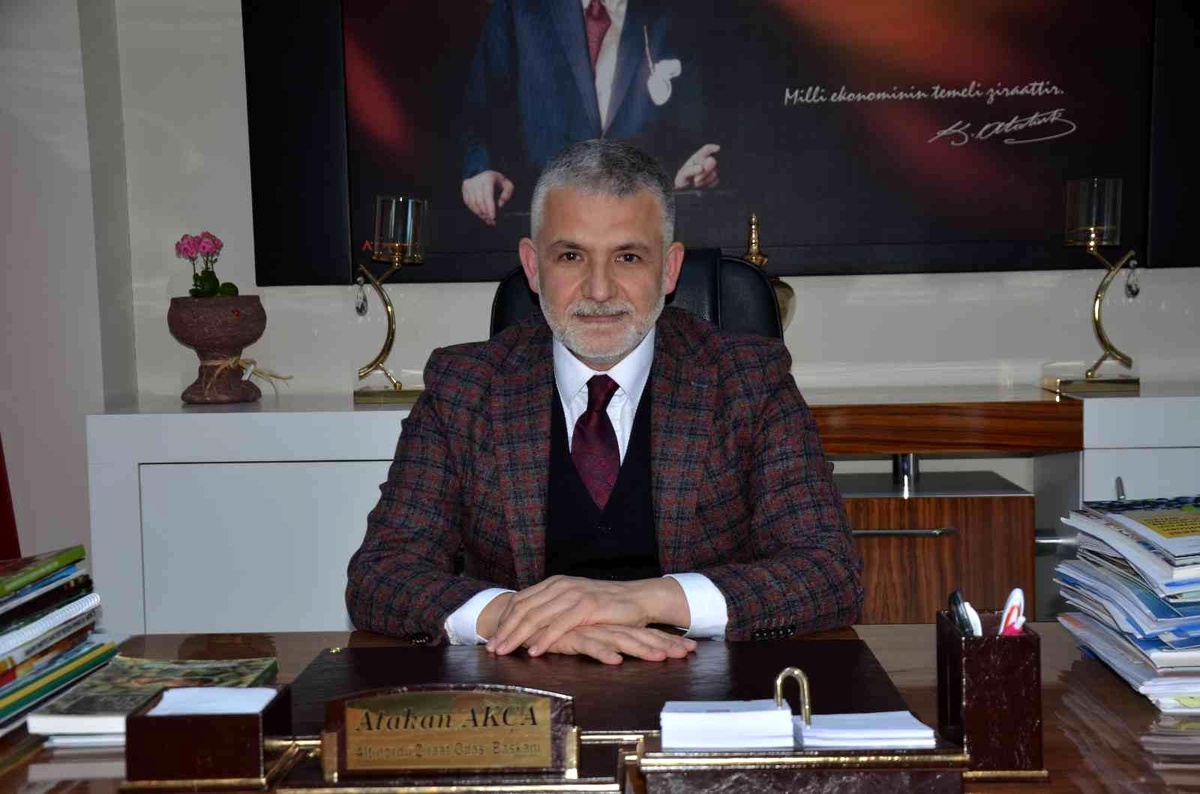 Akça: "Fındık organize sanayi bölgeleri kurulmalı"