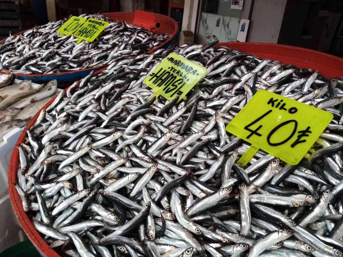 Balık bolluğu yaşanıyor, fiyatlar düşüyor